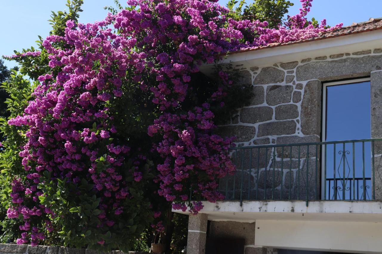 Ich Inveja Country House Πάσος ντε Φερέιρα Εξωτερικό φωτογραφία